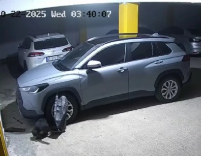 Trabzon'da Köpekler Araca Zarar Verdi!