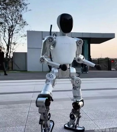 Dünyanın En Ucuz Robotu!