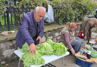 Davetsiz Misafir Şoku!