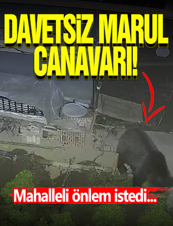 Davetsiz Misafir Şoku!
