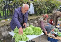  AYI - Davetsiz Misafir Şoku!