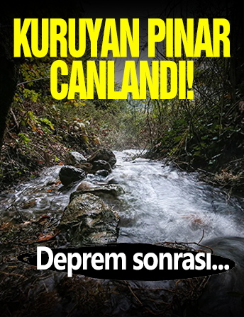 Kuruyan Pınar Depremle Canlandı!