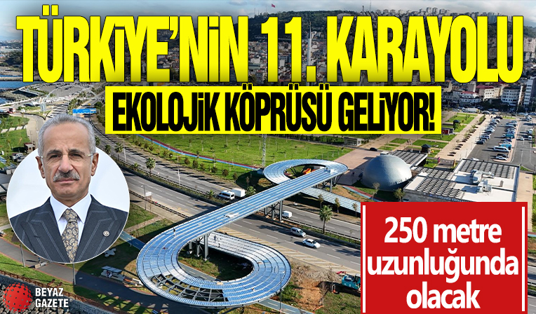 Türkiye'nin 11. karayolu ekolojik köprüsü geliyor! 250 metre uzunluğunda olacak