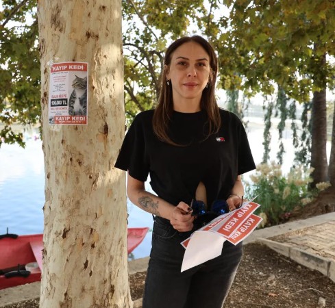 Kedisini Bulana Büyük Ödül!