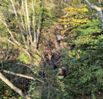  ACI HABER - Kastamonu'da Kaybolan Anne Oğuldan Acı Haber!