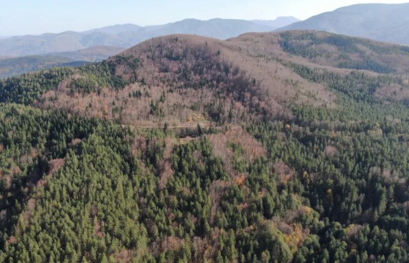 Kastamonu'da Kaybolan Anne Oğuldan Acı Haber!
