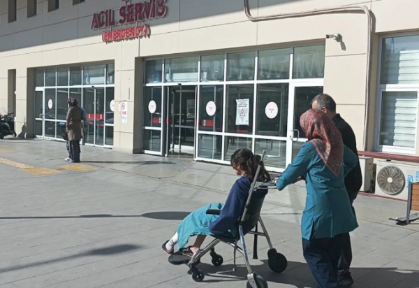 Başıboş Köpekler Dehşet Saçtı!