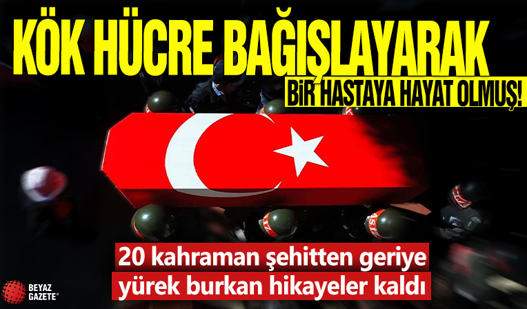 Kök hücre bağışlayarak bir hastaya hayat olmuş! 20 kahraman şehitten geriye yürek burkan hikâyeler kaldı