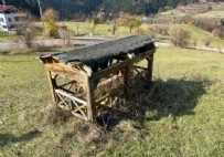 Babasının Mezar Dekore Etti! Haberi