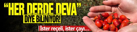 “Her derde deva” diye biliniyor! İster reçeli, ister çayı…