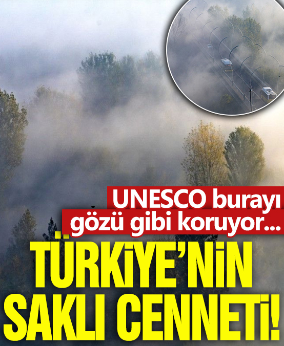 Türkiye'nin saklı cenneti! UNESCO burayı gözü gibi koruyor...