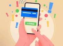 E-Cüzdan Şikayetleri Arttı! Haberi