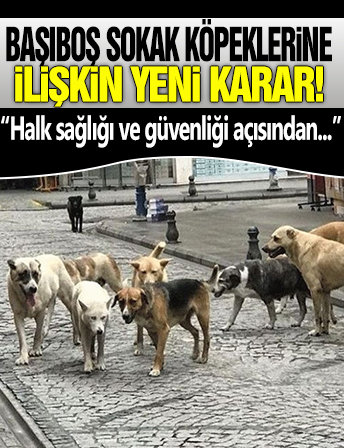 Başıboş sokak köpeklerine ilişkin yeni karar! 'Halk sağlığı ve güvenliği açısından...'