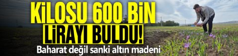 Kilosu 600 bin lirayı buldu! Baharat değil sanki altın madeni