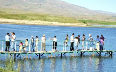 Van Gölü'nde Kuraklığın İzleri!