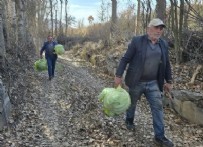 YOZGAT - 60 Yıldır Ayrılmıyorlar!