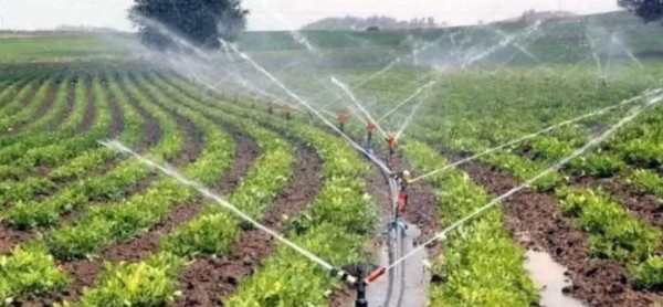 Gübrede Dijital Dönüşüm!