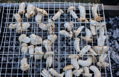 Adana'daki Mantara Japonlardan Yoğun İlgi!