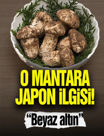 Adana'daki Mantara Japonlardan Yoğun İlgi!