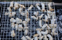 JAPONYA - Adana'daki Mantara Japonlardan Yoğun İlgi!