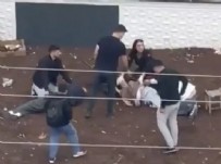 Diyarbakır'da Kanlı Kavga! Haberi