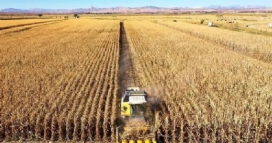 Türkiye Tarımda 1 Numara!