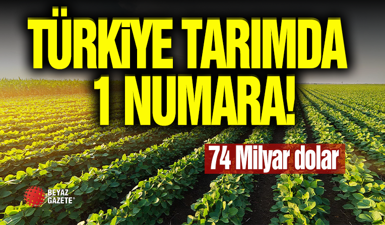 Türkiye Tarımda 1 Numara!