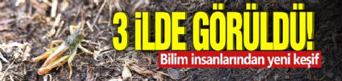3 ilde görüldü! Bilim insanlarından yeni keşif
