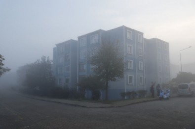 Edirne'de yoğun sis! Görüş mesafesi 30 metreye düştü