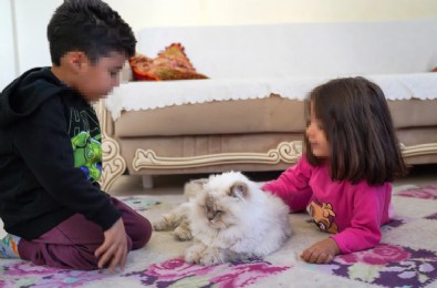 3 Torunla Çaresiz Kalan Dede!