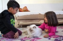 3 Torunla Çaresiz Kalan Dede!