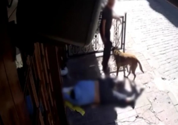 Böyle Vicdansızlık Görülmedi!