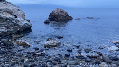 3 Gündür Aranıyordu! Cansız Bedenine Ulaşıldı...