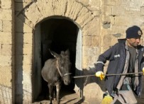  EŞEK - Eşekler Yerini Paletli Araçlara Bırakıyor!