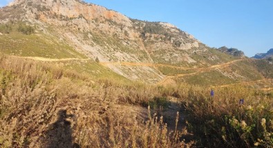 Mantar Toplarken Hayatını Kaybetti!