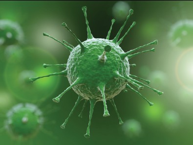 Salgın yeniden hortladı! OHAL ilan edildi