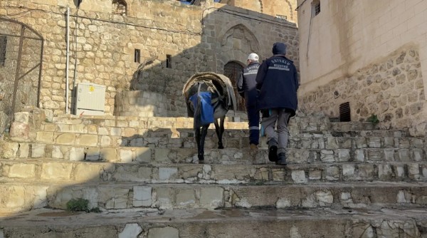 Eşekler Yerini Paletli Araçlara Bırakıyor!