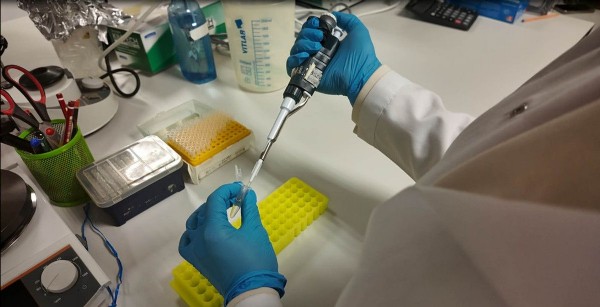 KKKA'ya yerli aşı geliyor! Klinik öncesi çalışmalar tamamlandı