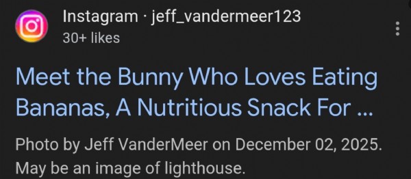 Instagram'da Sessiz Değişiklik!