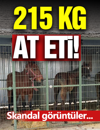 215 Kilo At Eti Ele Geçirildi!