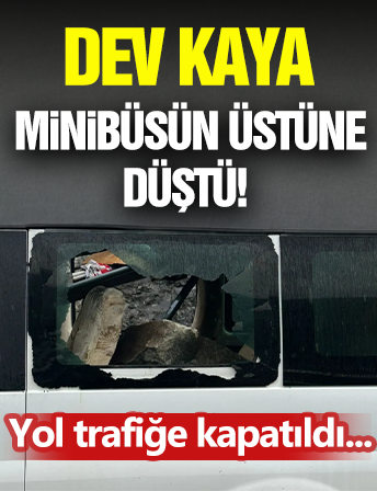 Dev Kaya Minibüsün Üstüne Düştü!