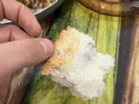 JİLET - Ekmeğin İçinden Jilet Çıktı!