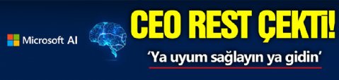 Microsoft Ceo'sundan Rest!