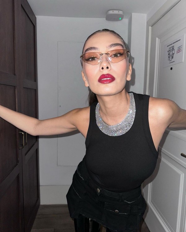 Organik tarım işine girdi