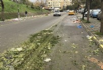 CHP’li Maltepe Belediyesi’nden yeni rezalet! Sokaklar çöple doldu taştı, vatandaşlar isyan etti