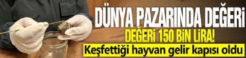 Dünya pazarında değeri 150 bin lira! Keşfettiği hayvan gelir kapısı oldu