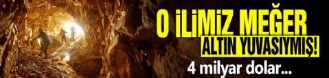 O ilimiz meğer altın yuvasıymış! 4 milyar dolar...