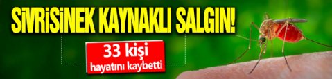 Sivrisinek kaynaklı salgın! 33 kişi hayatını kaybetti