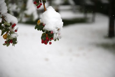 Meteoroloji açıkladı! Kuvvetli kar yağışı geliyor