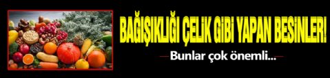 Bağışıklığı Çelik Gibi Yapan Besinler!